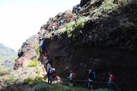 Vom Pico de Areiro zum Pico de Ruivo