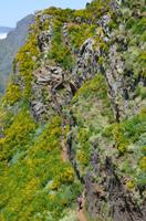 Vom Pico de Areiro zum Pico de Ruivo