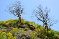 Vom Pico de Areiro zum Pico de Ruivo