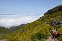 Vom Pico de Areiro zum Pico de Ruivo