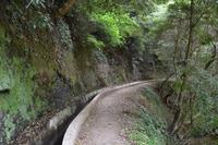 Levada Wanderung
