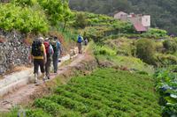 Levada Wanderung