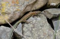 Na, da schaut ihr ...