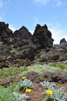 Vom Pico de Areiro zum Pico de Ruivo