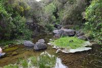 auf dem Weg zu den 25 Fontes