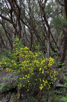 auf dem Weg zu den 25 Fontes