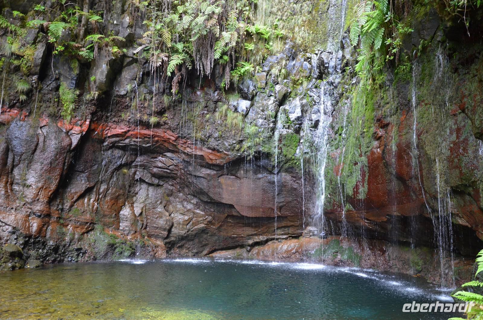 Die 25 Fontes gingen leider nicht alle aufs Bild