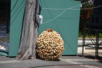 Zwiebelfest in Canico