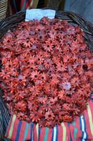 Frisches und getrocknetes