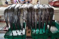 Degenfisch mal anders