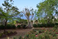 Im botanischen Garten