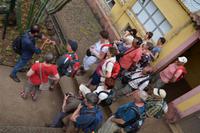 Im botanischen Garten