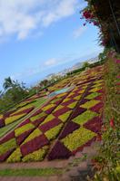 Im botanischen Garten