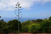 Im botanischen Garten