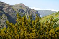 Vom Pico de Areiro zum Pico de Ruivo