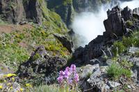 Vom Pico de Areiro zum Pico de Ruivo