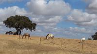 Alentejo