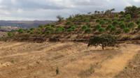 Alentejo