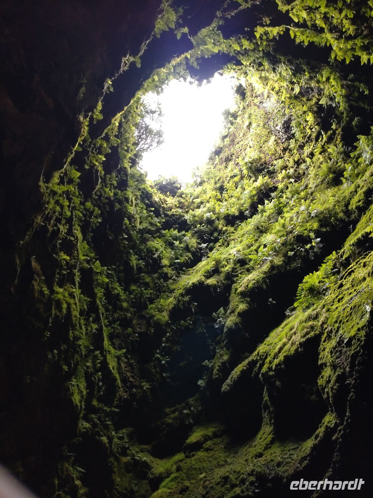 Algar do Carvao