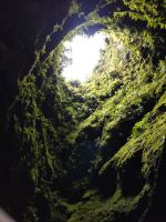 Algar do Carvao