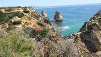 Algarve 
