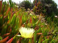 Am Cabo da Roca