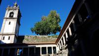 Amarante 20181010 110450