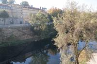 Amarente