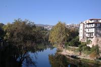 Amarente