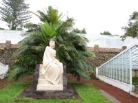 Ananasplantage