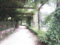 Anlage Bussaco (2)