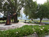 Anlage Weingut