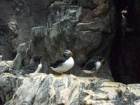 Aquarium auf der Expo