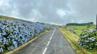 Aqueduto do Carvão, São Miguel Island, Ponta Delgada, Azores, Portugal
