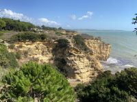 Armacao de Pera - Steilküste