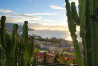 Ausblick vom Panoramico