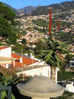 Aussichtspunkt Pico dos Barcelos 