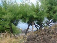 Azoren Wandern 065