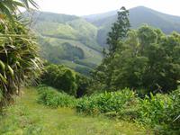 Azoren Wandern 530