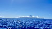 Azores, Portugal