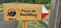 Bacalhau Wasserfall