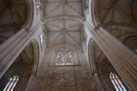 Batalha (8)