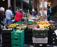 Bauernmarkt