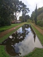 Besichtigung von Palheiro Gardens (Blandys Garten)