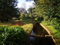 Blandy's Garten Funchal Madeira