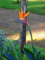 Blandys Garden
