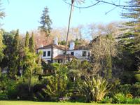 Blandys Garden