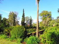 Blandys Garden