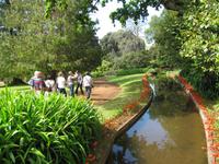 Blandys Garden