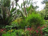 Blandys Garden